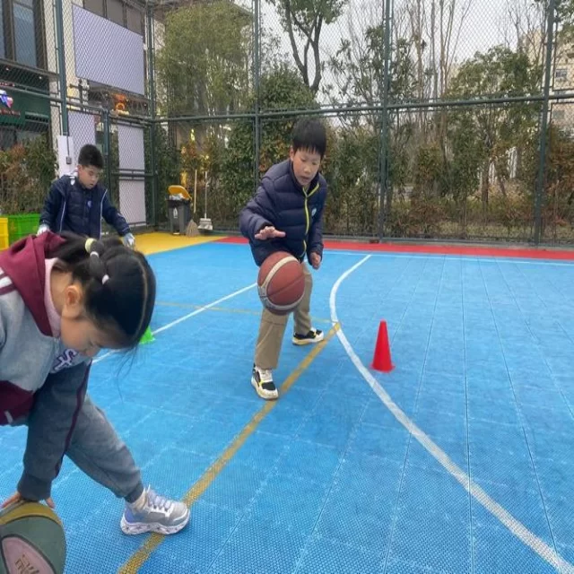 网球红土赛程观察：第63组精彩赛程解析